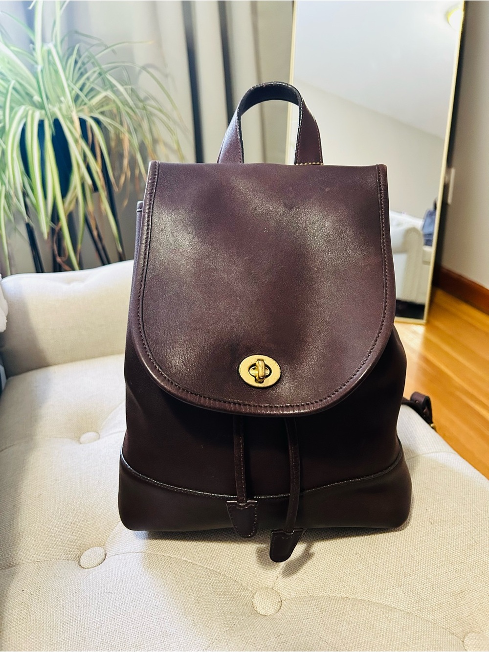 Coach Vintage Leather Drawstring Backpack in Deep Brown